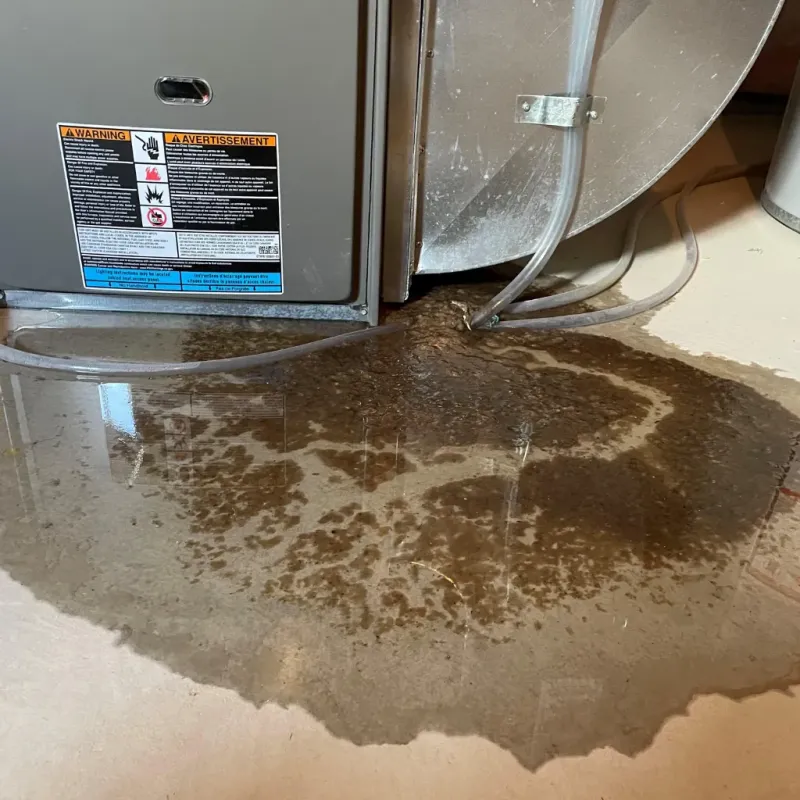 Appliance Leak Cleanup in Valley Mills, TX