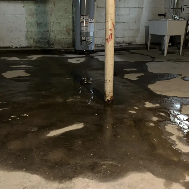 Emergency Water Extraction And Removal in Valley Mills, TX